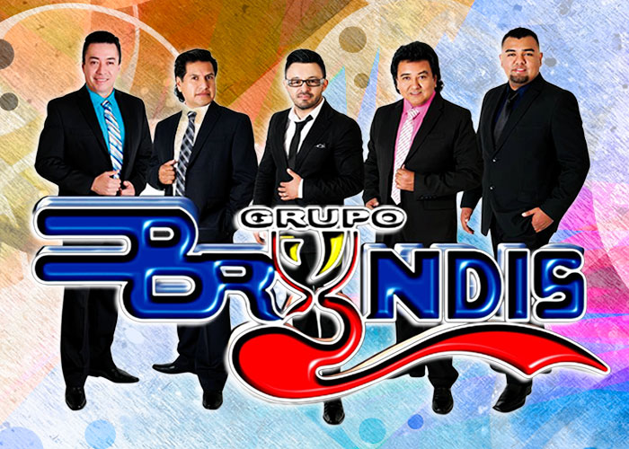 Grupo Bryndis informes y contrataciones