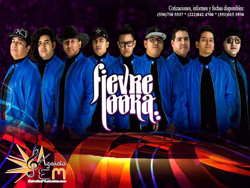 Fievre Looka informes y contrataciones