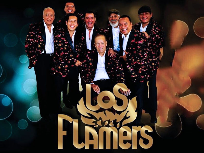 Los Flammers informes y contrataciones