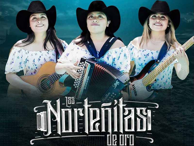 Poker de reinas contrataciones informes