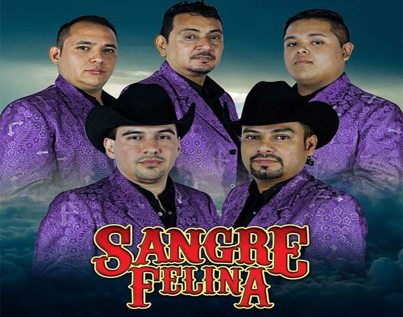 La garra norteña informes y contrataciones