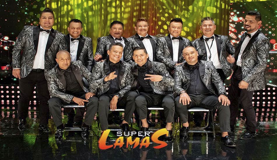 Super lamas informes y contrataciones