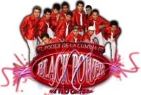 grupo black power Contrataciones e informes