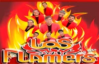 los flammers Contrataciones e informes