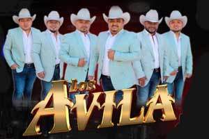 Los Avila contrataciones e informes