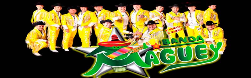 Banda Maguey contrataciones