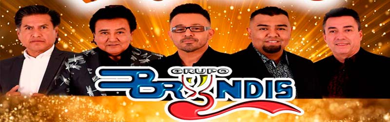 Grupo Bryndis contrataciones