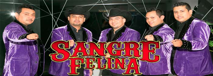Sangre Felina contrataciones