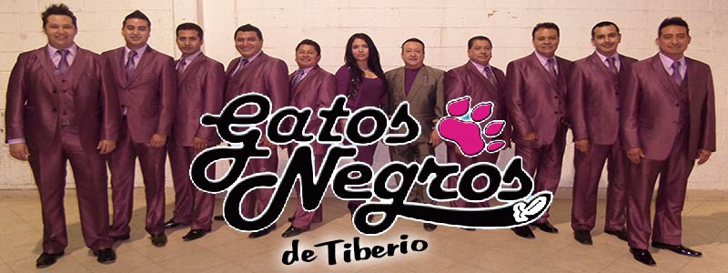 Tiberio y sus gatos negros contrataciones