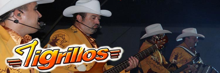 Tigrillos contrataciones