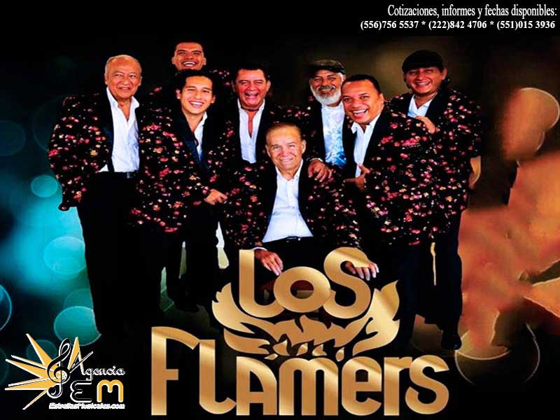 Cuanto cobra Los Flammers informes y contrataciones