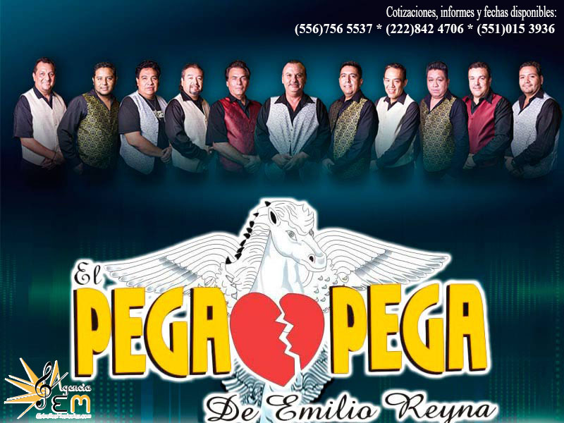 Cuanto cobra Pega pega de Emilio Reyna informes y contrataciones