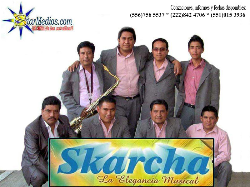 Cuanto cobra Grupo Skarcha informes y contrataciones