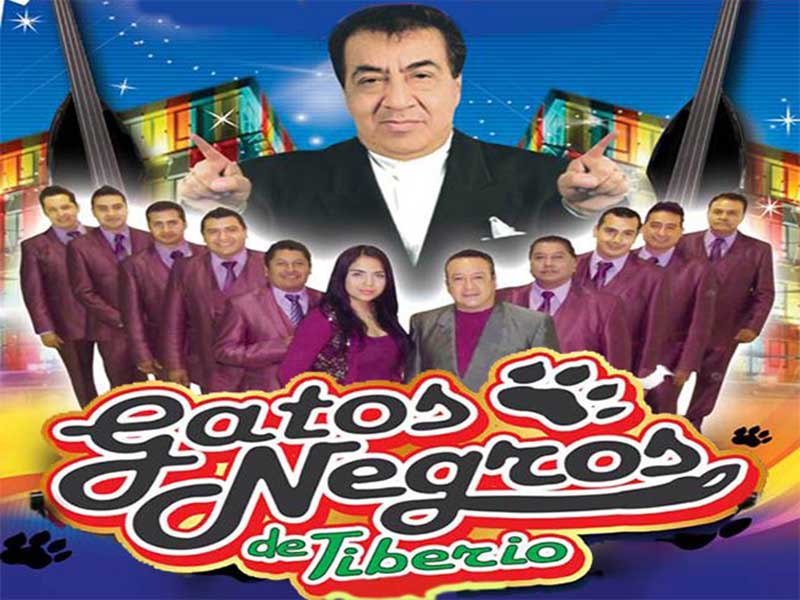 Tiberio y sus gatos negros informes y contrataciones