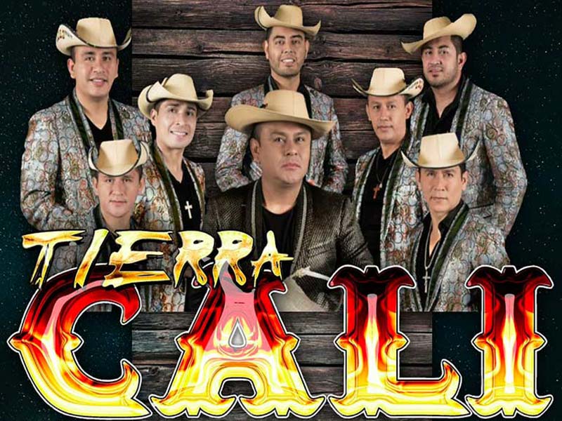 Cuanto cobra Tierra cali Contrataciones e informes