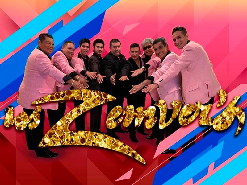 Zemvers informes y contrataciones