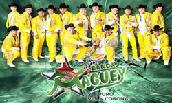 Contrataciones Banda Maguey