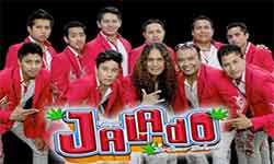 Grupo Jalado informes y Contrataciones cuanto cobra