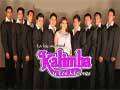 Kalimba y los mejores Contrataciones cuanto cobra telefonos informes