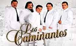 Grupo Los Cms Caminando siempre informes y contrataciones cuanto cobra