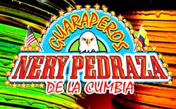 Nery Pedraza Contrataciones cuanto cobra