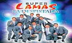 Super lamas Contrataciones cuanto cobra telefonos informes