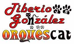 Tiberio Gonzalez orquescat contrataciones cuanto cobra telefonos e informes