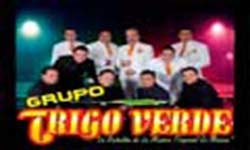 Grupo trigo verde Contrataciones cuanto cobra telefonos